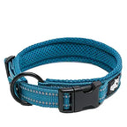 Truelove Pet Dog Collar Nylon Adjustable 
Webbing, Padded , Soft Reflective Durable Heavy Duty Training Custom Luxury Cat TLC5011