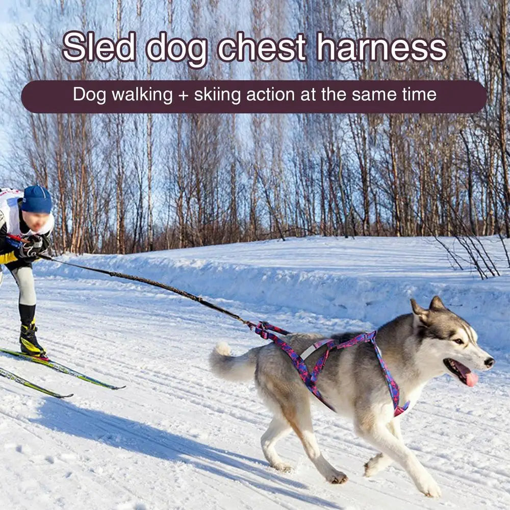 Pet Sledge Harness for Small ,Large Dogs
Reflective  Vest     Weight Pulling Sledding Harnesses Mushing X Back Chest Strap