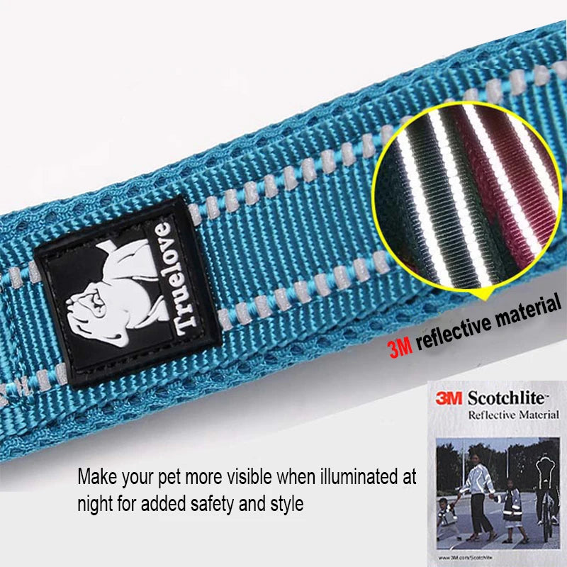 Winhyepet Dog Leash with Padded Handle .
Training,  Durable 200cm Luxury  for Small ,Medium , Large Dogs