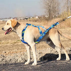 Pet Sledge Harness for Small ,Large Dogs
Reflective  Vest     Weight Pulling Sledding Harnesses Mushing X Back Chest Strap