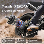 Airwest X5 Adult Electric Bike, 
750W Peak Power, 48V 13Ah Battery, 
20“*4 Fat Tire Ebike, 28MPH, UL 2849, 1 Year Warranty