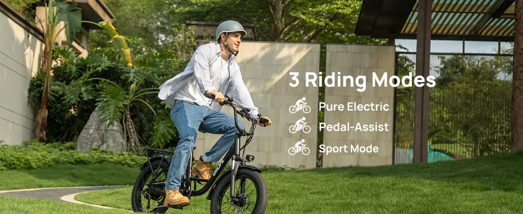 URLIFE 1000W E20 Electric Bike | 
48V 13Ah Removable Battery,
 20MPH, 20''X3" Fat Tire, 7-Speed  with Dual Disc Brake