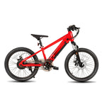 JOYSTAR Electric Bike for Kids Teens Ages 7+ 
with 250W Motor, 15 Miles 15MPH 
Mountain