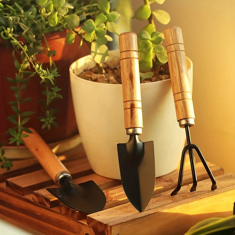 3pcs/set, Garden Tool Set Rake Tip 
Shovel Large Gardening
Mini Succulent Plant Loose Soil Flower Shovel