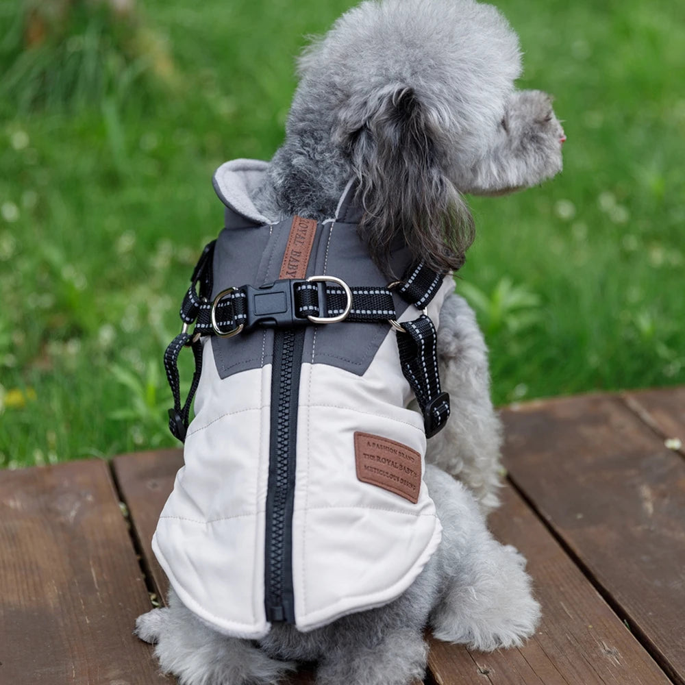 Winter Pet Dog Jacket With Harness 
Warm Dog Clothes For Labrador
 Waterproof Big Dog Coat ,Chihuahua ,French Bulldog Outfits