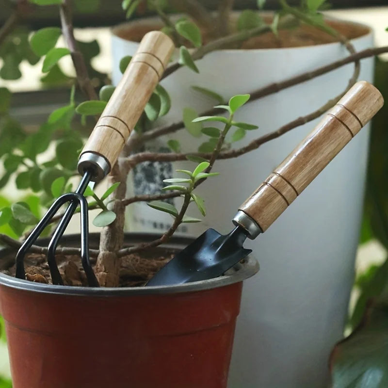 3pcs/set, Garden Tool Set Rake Tip 
Shovel Large Gardening
Mini Succulent Plant Loose Soil Flower Shovel