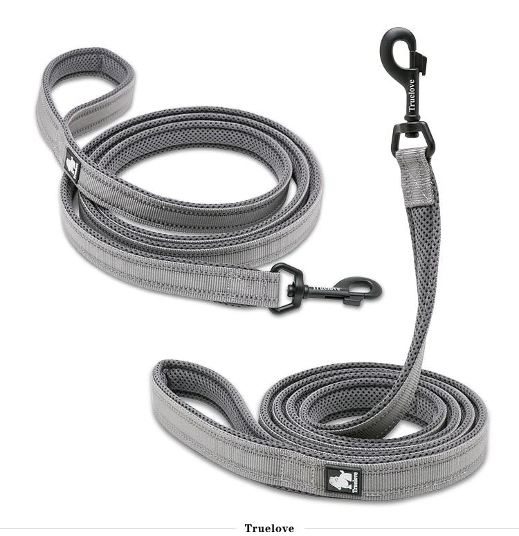 Winhyepet Dog Leash with Padded Handle .
Training,  Durable 200cm Luxury  for Small ,Medium , Large Dogs