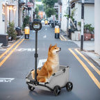Stroller for Traveling , 4 Wheels,  
Dog Cat Teddy Cart
, Lightweight Folding Trolley for Travelling Shopping Walking