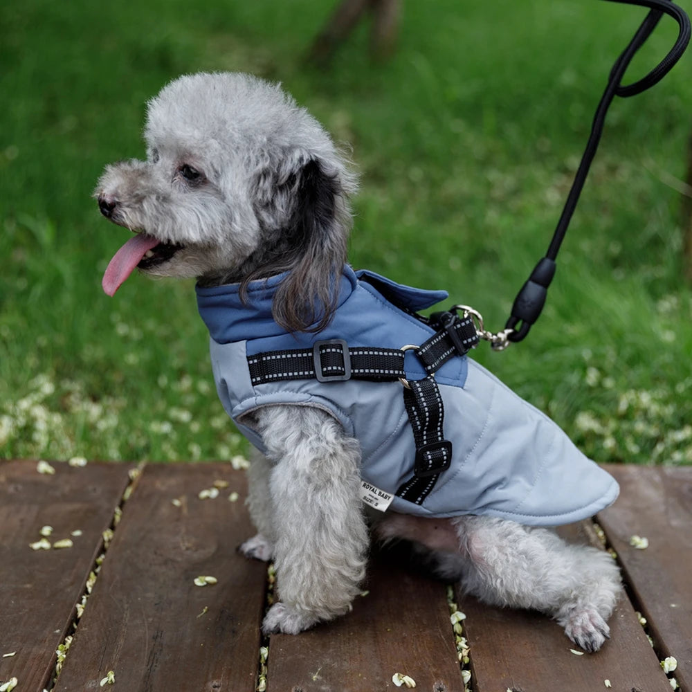 Winter Pet Dog Jacket With Harness 
Warm Dog Clothes For Labrador
 Waterproof Big Dog Coat ,Chihuahua ,French Bulldog Outfits