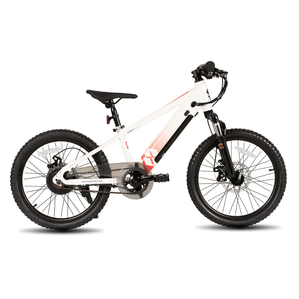 JOYSTAR Electric Bike for Kids Teens Ages 7+ 
with 250W Motor, 15 Miles 15MPH 
Mountain