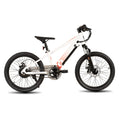 JOYSTAR Electric Bike for Kids Teens Ages 7+ 
with 250W Motor, 15 Miles 15MPH 
Mountain