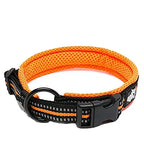 Truelove Pet Dog Collar Nylon Adjustable 
Webbing, Padded , Soft Reflective Durable Heavy Duty Training Custom Luxury Cat TLC5011
