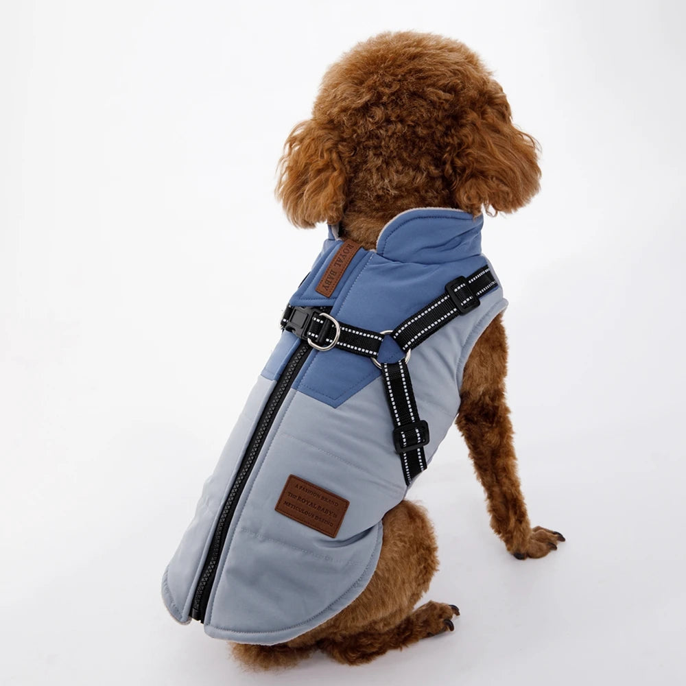 Pet Dog Jacket With Harness 
Winter Dog Clothes For Small Large Dogs 
Warm Waterproof  Coat Chihuahua