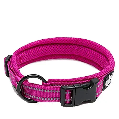 Truelove Pet Dog Collar Nylon Adjustable 
Webbing, Padded , Soft Reflective Durable Heavy Duty Training Custom Luxury Cat TLC5011