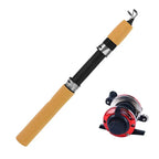 Ice Fishing Rod With Reel Mini Telescopic
60 80 100CM Carbon. for  River ,Shrimp , Carp Fishing Pole
