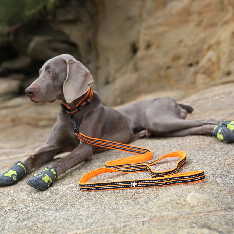 Winhyepet Dog Leash with Padded Handle .
Training,  Durable 200cm Luxury  for Small ,Medium , Large Dogs