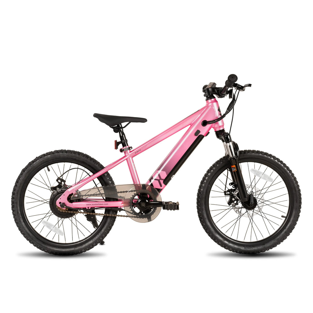 JOYSTAR Electric Bike for Kids Teens Ages 7+ 
with 250W Motor, 15 Miles 15MPH 
Mountain