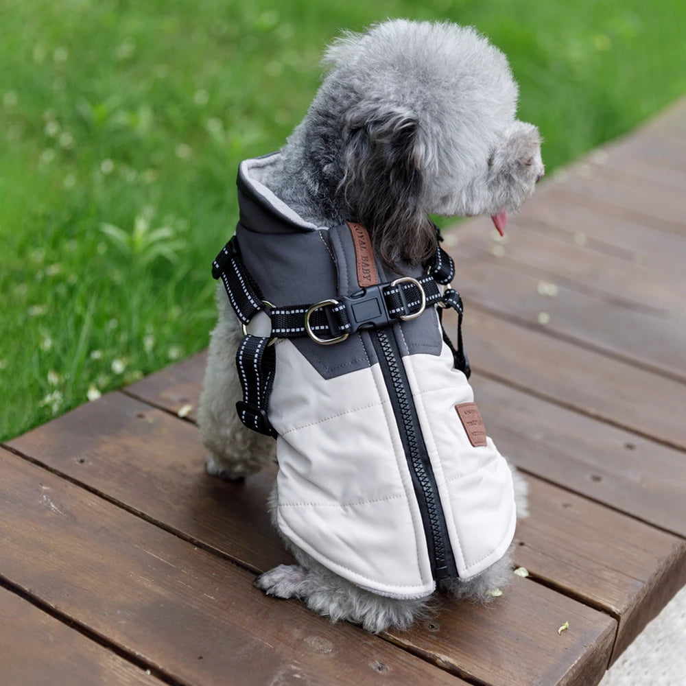 Pet Dog Jacket With Harness 
Winter Dog Clothes For Small Large Dogs 
Warm Waterproof  Coat Chihuahua