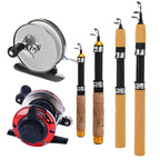 Ice Fishing Rod With Reel Mini Telescopic
60 80 100CM Carbon. for  River ,Shrimp , Carp Fishing Pole