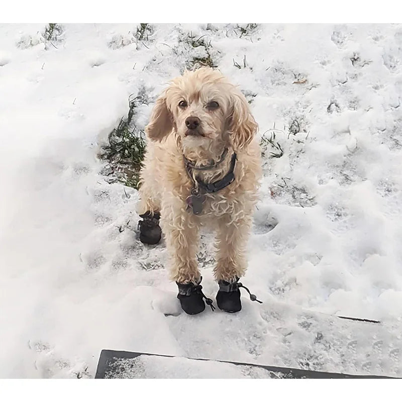 4Pcs Waterproof Dog Boots for Small Dogs - 
Non-slip Sole, Adjustable Drawstring, Soft Breathable Pet Shoes for Puppies