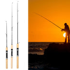 60/80/100cm Ice Fishing Rod, Portable ,Winter Fishing.  Retractable