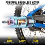 JOYSTAR Electric Bike for Kids Teens Ages 7+ 
with 250W Motor, 15 Miles 15MPH 
Mountain