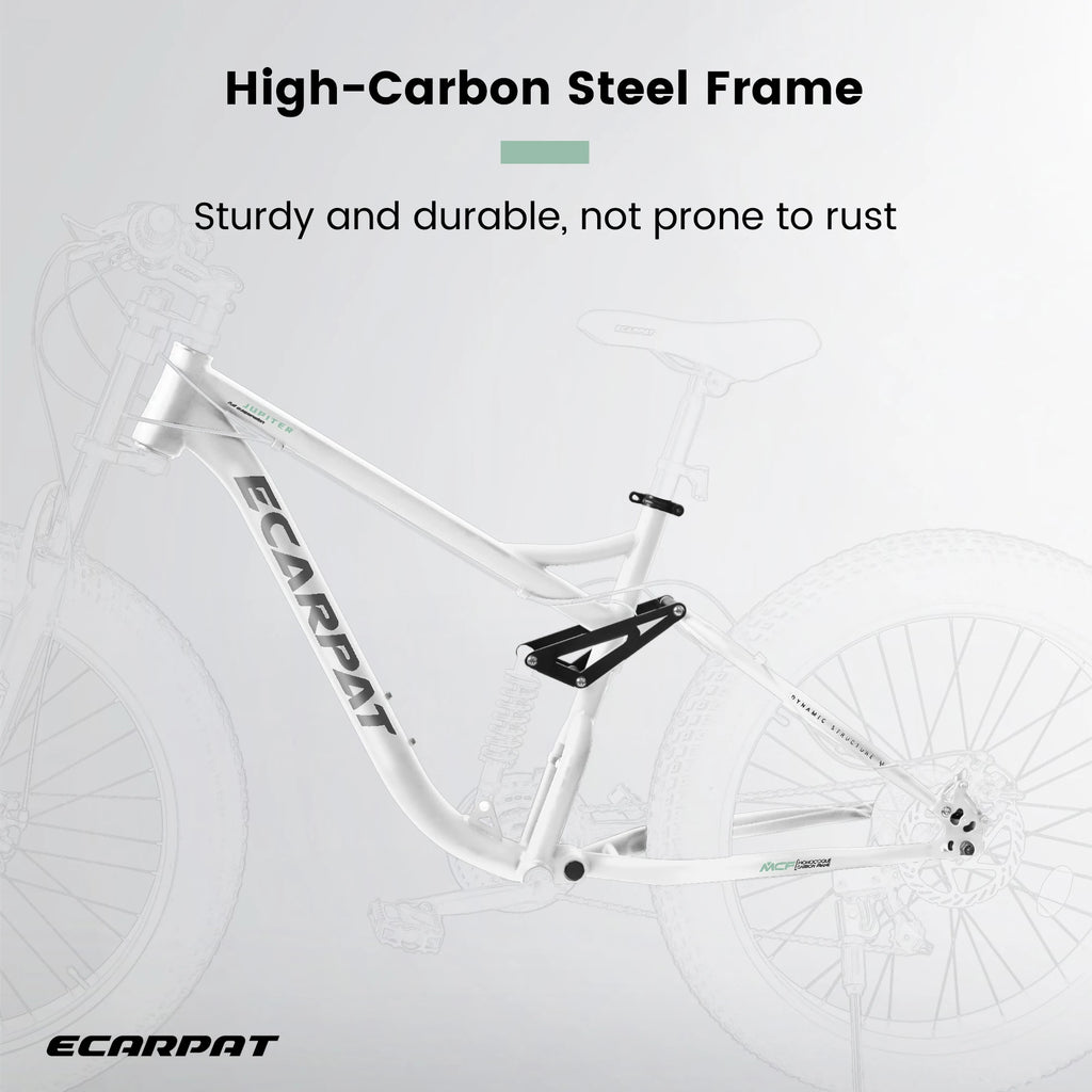 26 inch Mountain Bike, Full-Suspension 21 Speeds Drivetrain with Disc-Brake MTB Bicycle, 4" Fat tire Bike for Men or Women.
