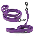 Winhyepet Dog Leash with Padded Handle .
Training,  Durable 200cm Luxury  for Small ,Medium , Large Dogs