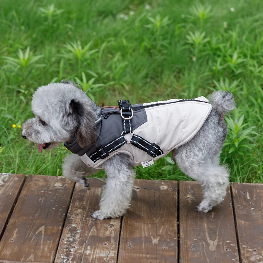 Pet Dog Jacket With Harness 
Winter Dog Clothes For Small Large Dogs 
Warm Waterproof  Coat Chihuahua