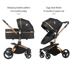 PU Leather Baby Stroller 2 in 1 Travel System 
High Landscape Portable Baby Pram
Newborns Aluminum Frame Baby Carriage