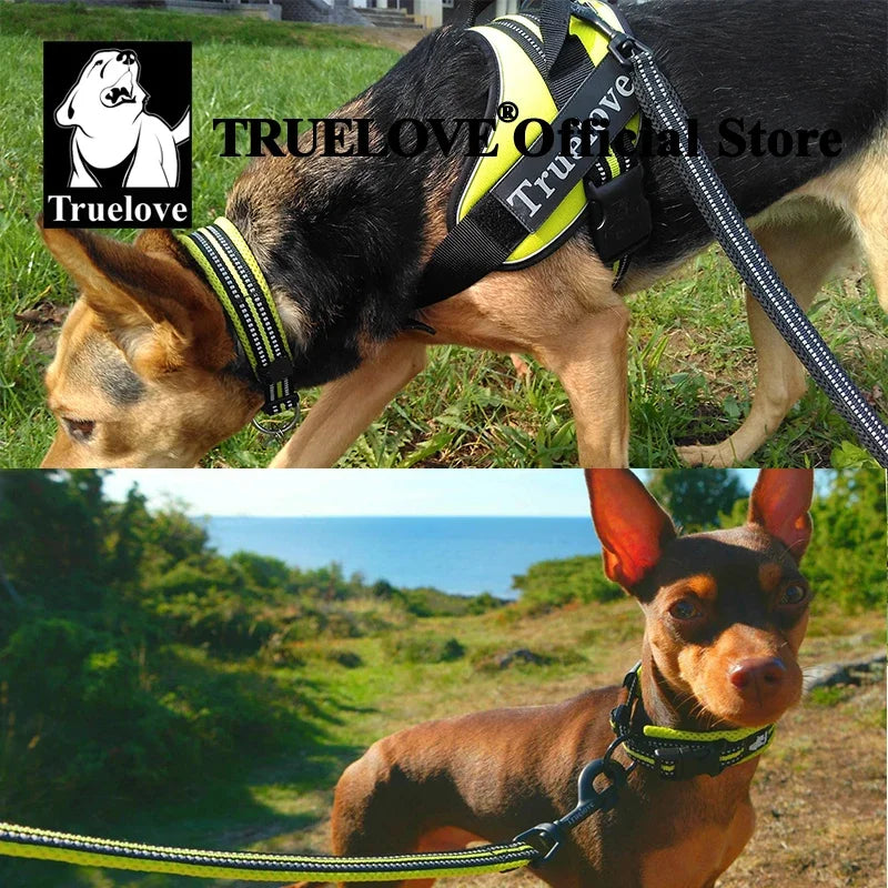 Truelove Pet Dog Collar Nylon Adjustable 
Webbing, Padded , Soft Reflective Durable Heavy Duty Training Custom Luxury Cat TLC5011