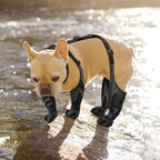 Outdoor Walking Dog Boot Leggings for Small Medium Large Dogs 

Suspender Boots Waterproof Snowy Dog Paw Protects Boot Covers