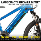 JOYSTAR Electric Bike for Kids Teens Ages 7+ 
with 250W Motor, 15 Miles 15MPH 
Mountain