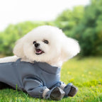 Waterproof Dog Boots With Suspenders
Adjustable Anti-Fall Pet Boots 
Dirty-Proof Pet Shoes For French Bulldog Poodle