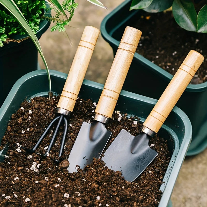 3pcs/set, Garden Tool Set Rake Tip 
Shovel Large Gardening
Mini Succulent Plant Loose Soil Flower Shovel