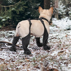 Outdoor Walking Dog Boot Leggings for Small Medium Large Dogs 

Suspender Boots Waterproof Snowy Dog Paw Protects Boot Covers
