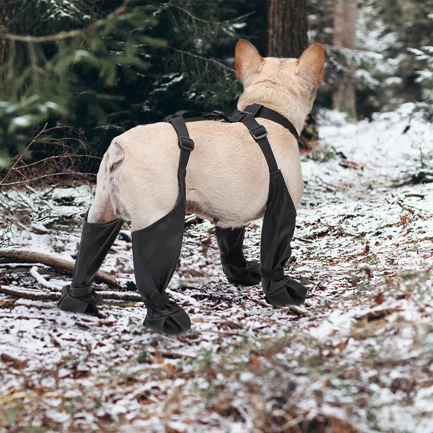 Outdoor Walking Dog Boot Leggings for Small Medium Large Dogs 

Suspender Boots Waterproof Snowy Dog Paw Protects Boot Covers