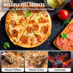Succebuy 12inch Outdoor Oven Charcoal Fired ,Portable 
Stainless Steel Grill&Pizza 
Waterproof for Backyard Camping