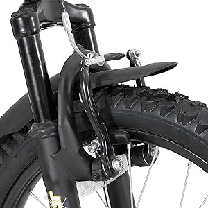 JOYSTAR 20 Inch Kids' Bike for Kids Ages 5-13 Years Old,
 Dual-Suspension Kids Mountain Bike